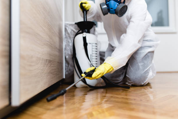 Best Pest Inspection Near Me  in Montebello, CA
