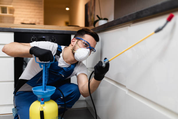 Best Flea Control Services  in Montebello, CA