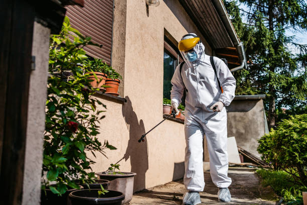 Best Rat Extermination Near Me  in Montebello, CA