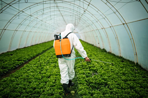 Best Insect Control  in Montebello, CA