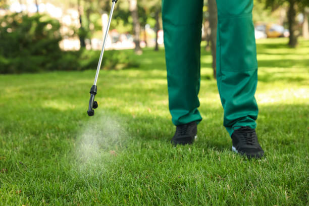 Best Residential Pest Control  in Montebello, CA