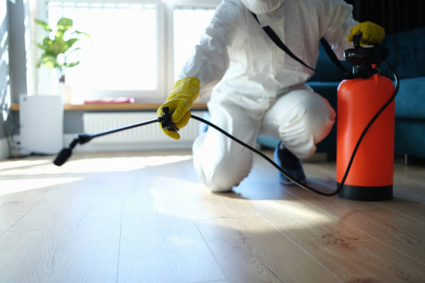 Best Pest Prevention Services  in Montebello, CA