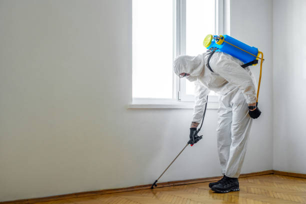Reliable Montebello, CA Pest Control Solutions