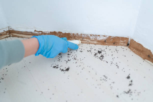 Best Wildlife Control Services  in Montebello, CA